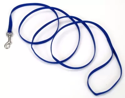 Coastal Pet 6′ Nylon Training Leash – 5/8″