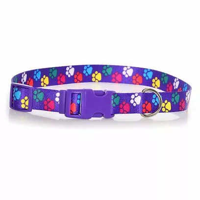 Coastal Pet Attire Nylon Adjsutable Collar – 1″,Large 18-26″ Long