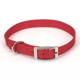 Coastal Pet Nylon Collar – 5/8″
