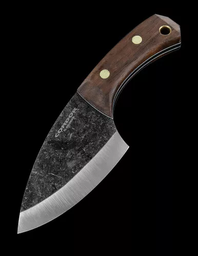Condor Pangui