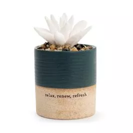 Demdaco Succulent Oil Diffuser