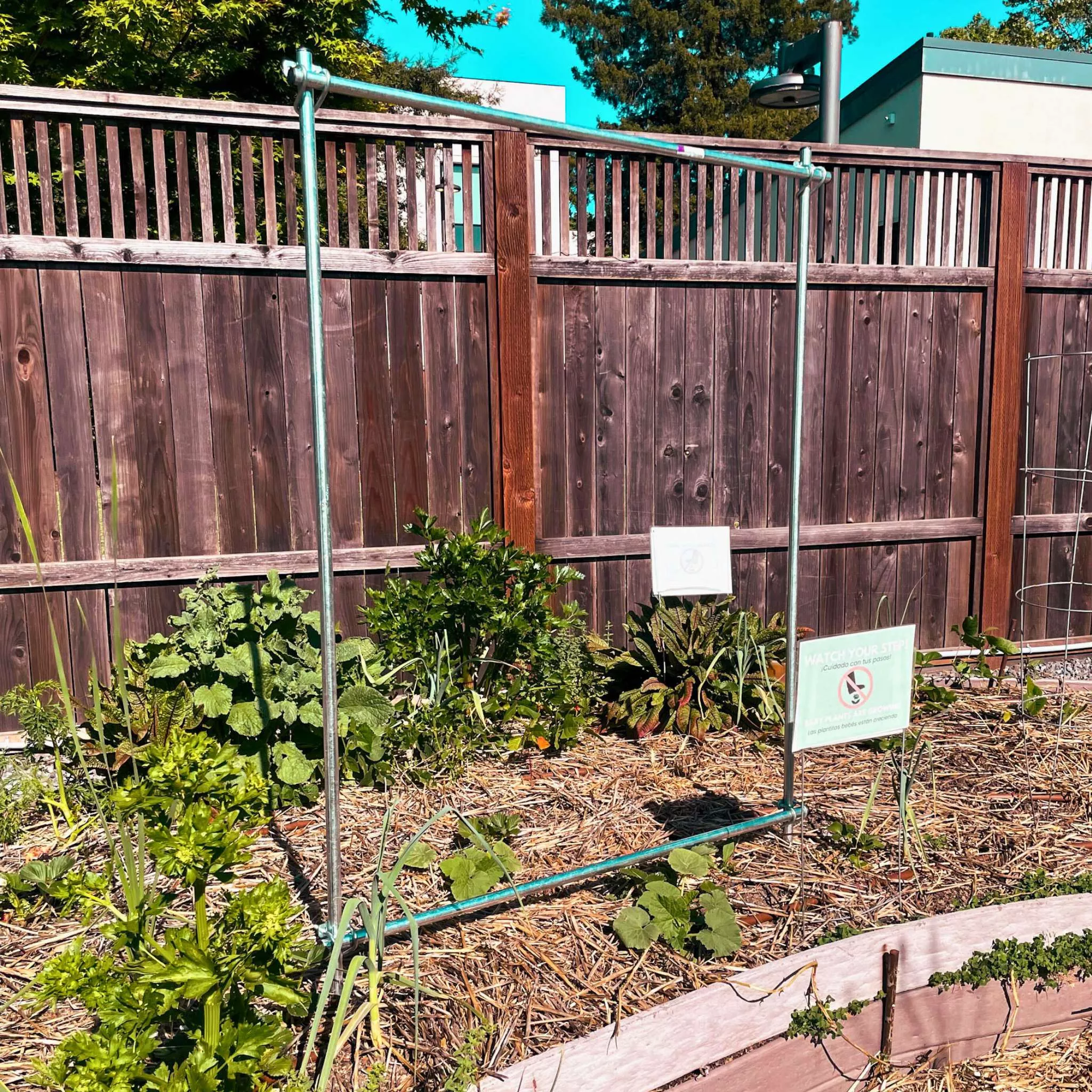 DIY Vine Trellis