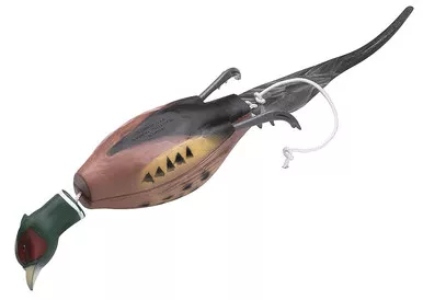 DOKKEN Dead Fowl Pheasant (F100)