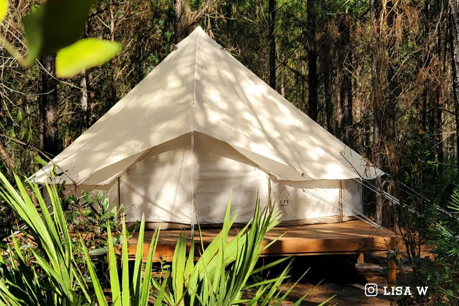 Double-Door Bell Tent Fly Cover Shield | 6M (19.5 ft)