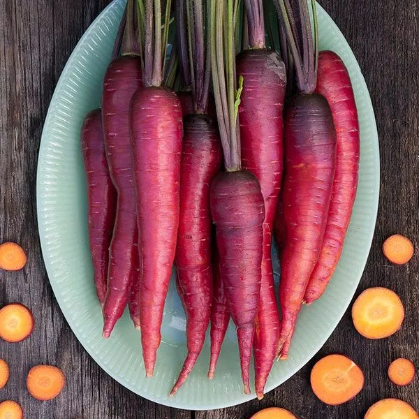 Dragon Carrot