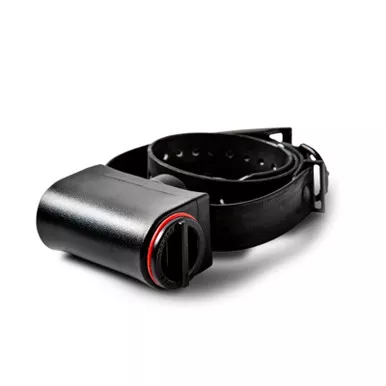 DT SYSTEMS 190 DT No Bark Trainer (190DT)