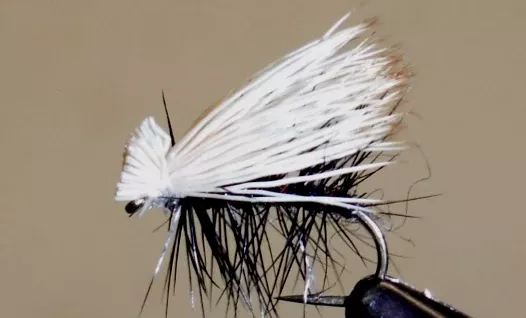 Elk Hair Caddis - 8 Colors!