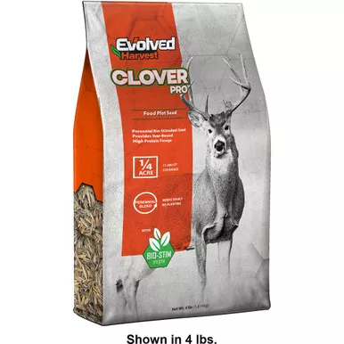Evolved Clover Seed 4 Lb.