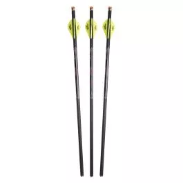 Excalibur Quill™ 16.5" Illuminated Carbon Arrows - 3 Pack