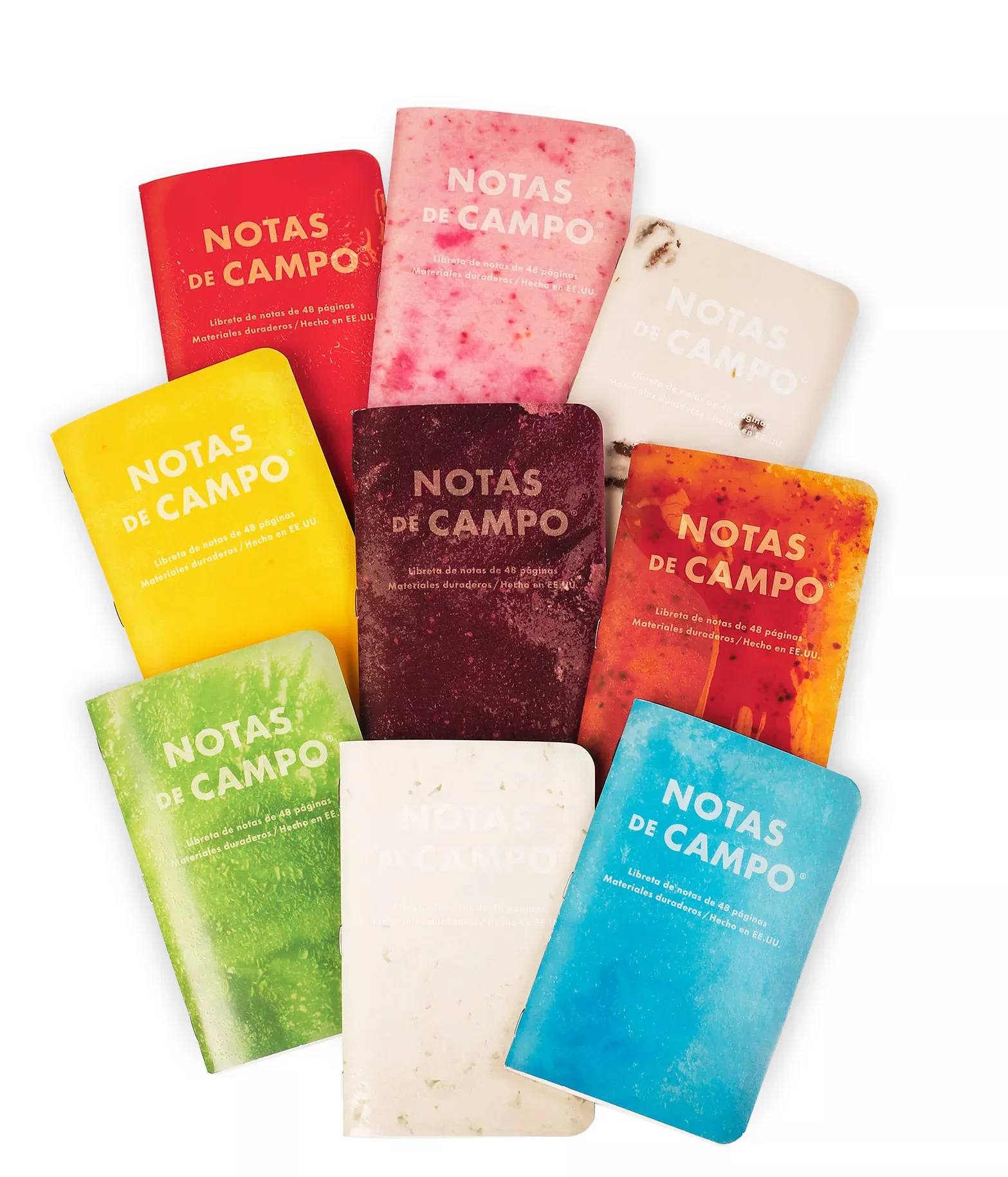 Field Notes Paletas (popsicles): Notas de Campo