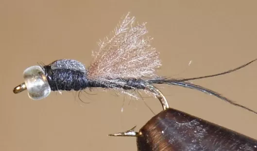 Foam Top Midge