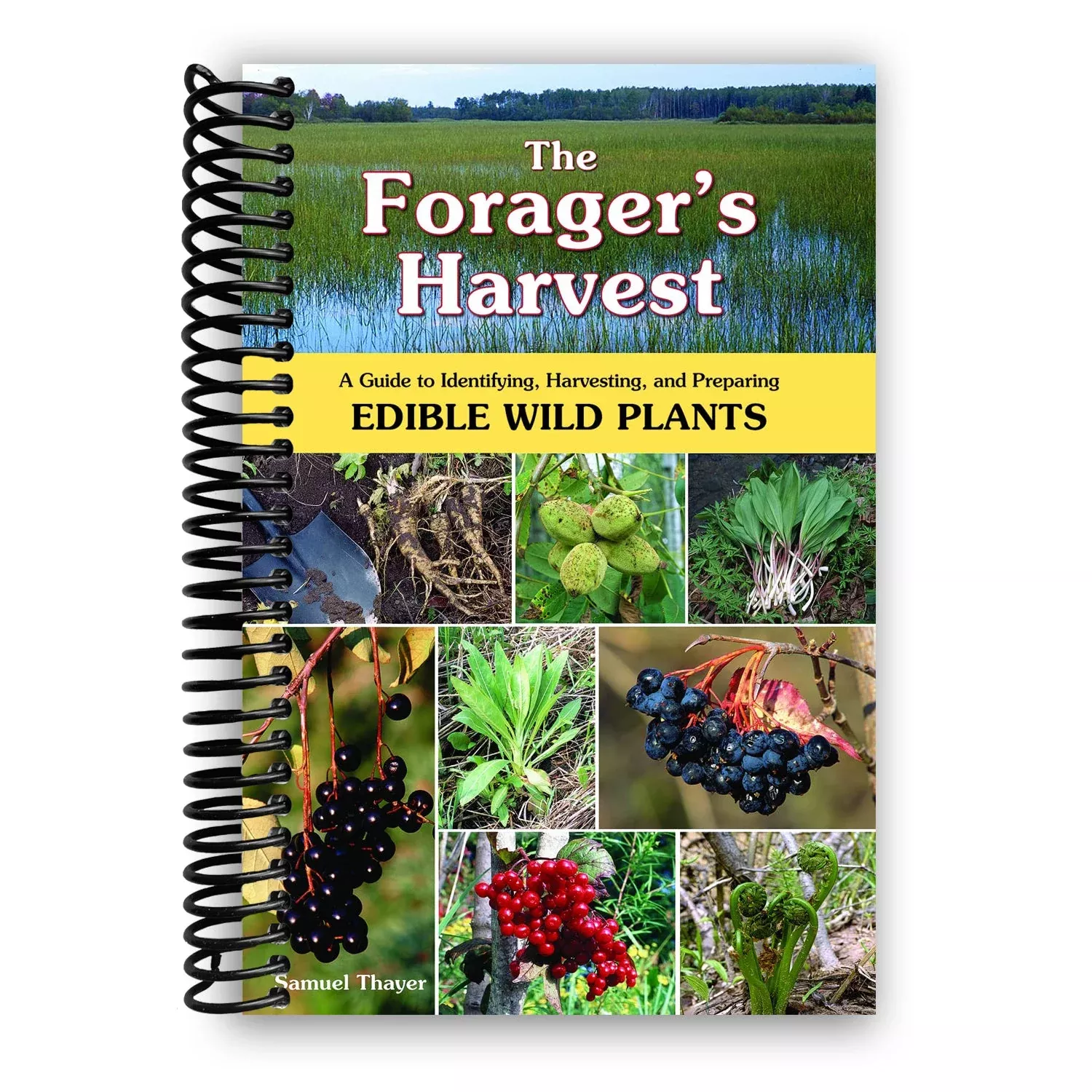 The Forager’s Harvest: A Guide to Identifying, Harvesting, and Preparing Edible Wild Plants (Spiral Bound)