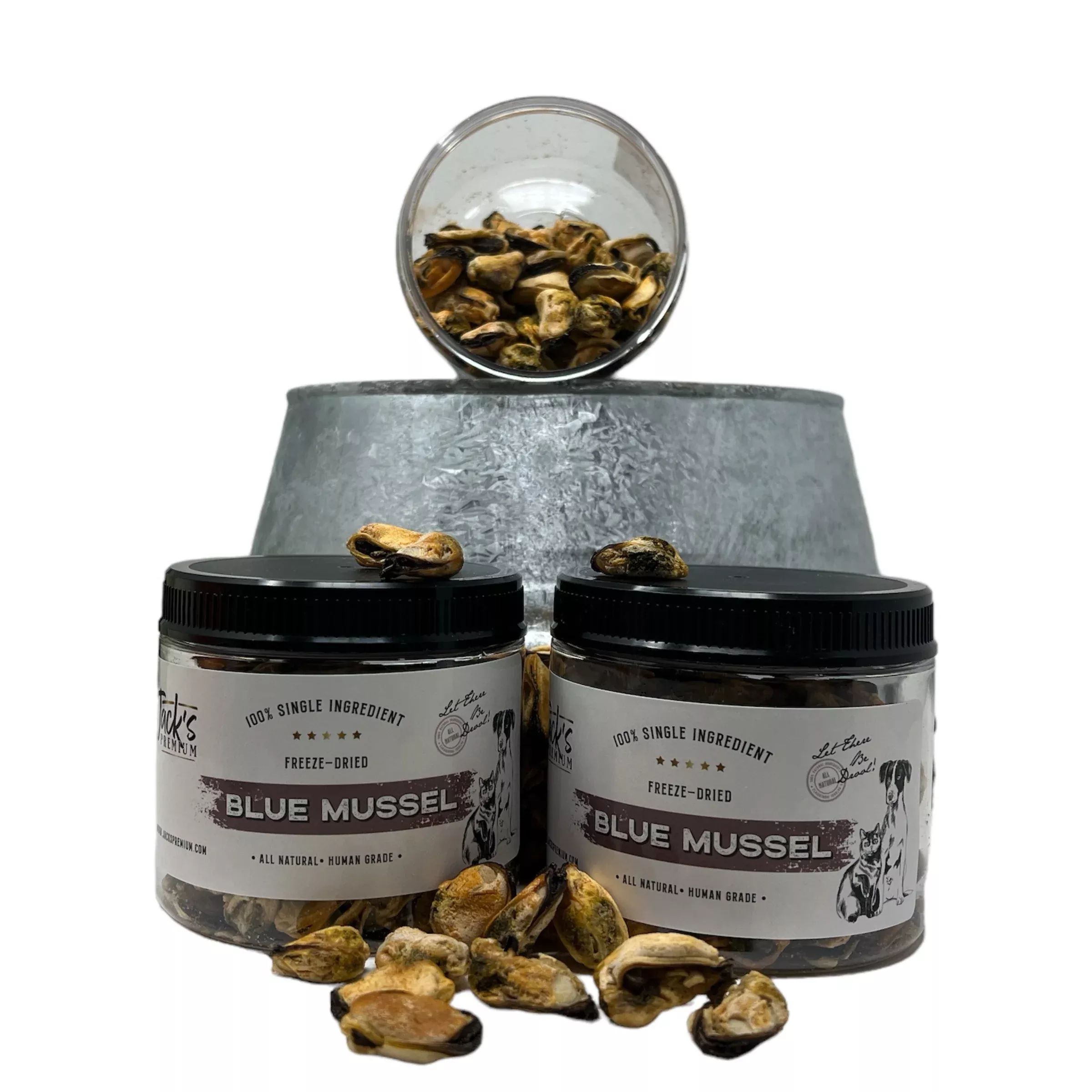 Freeze Dried Mussels