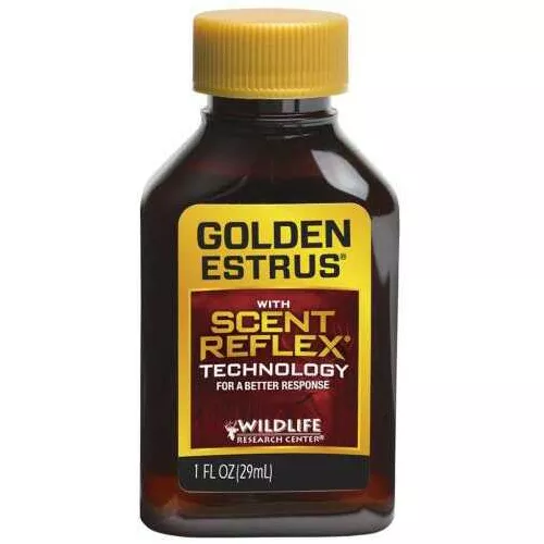 Golden Estrus #WRC404