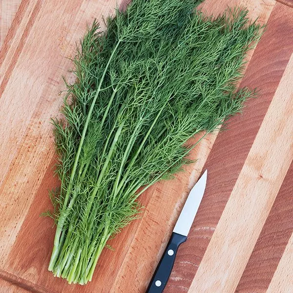 Greensleeves Dill