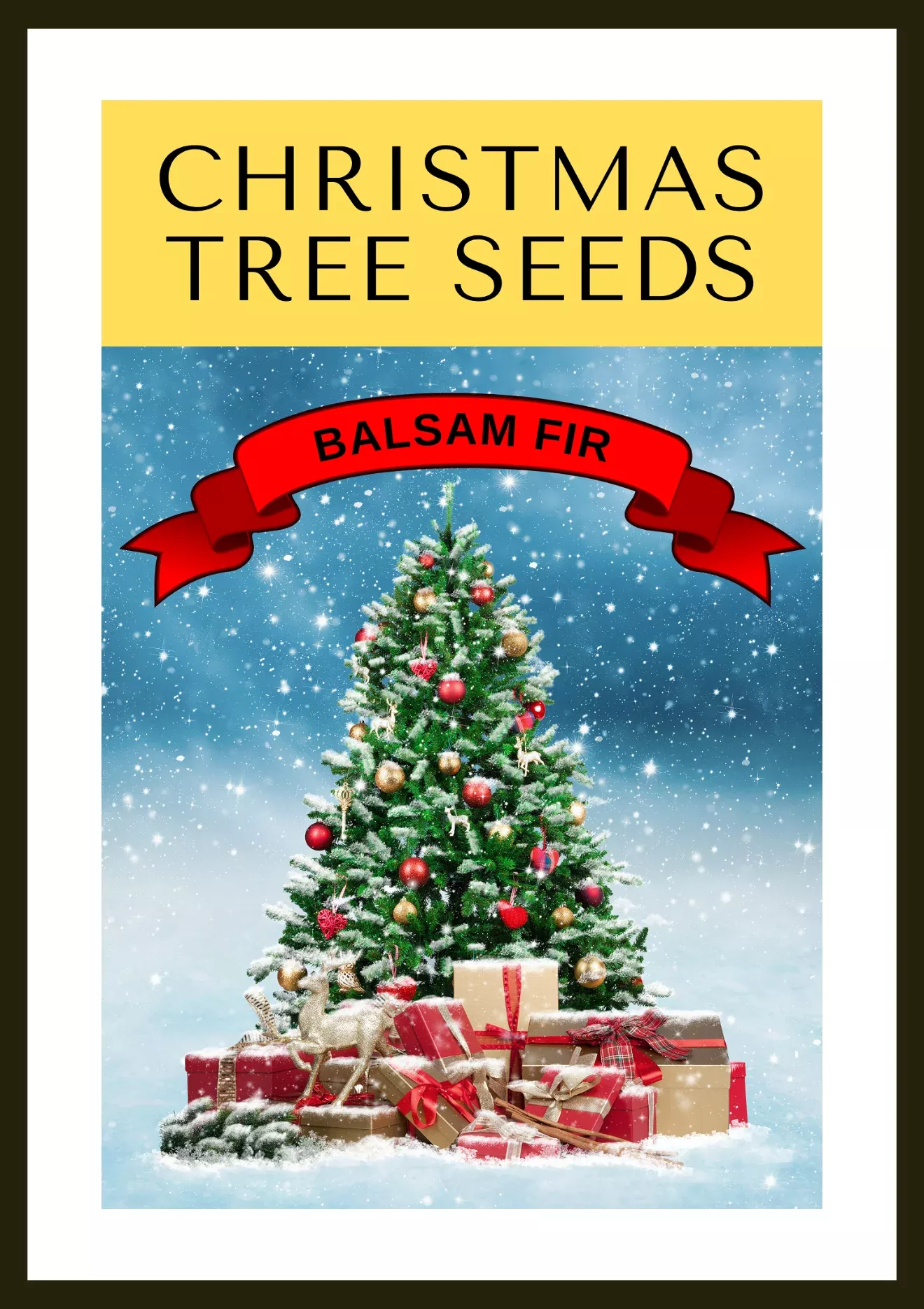 Grow Your Own CHRISTMAS TREE – Balsam Fir ( Abies Balsamea ) Gift Packet of Tree Seeds