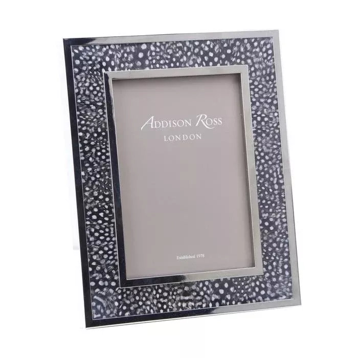 Guinea Grey Feather and Silver Frame