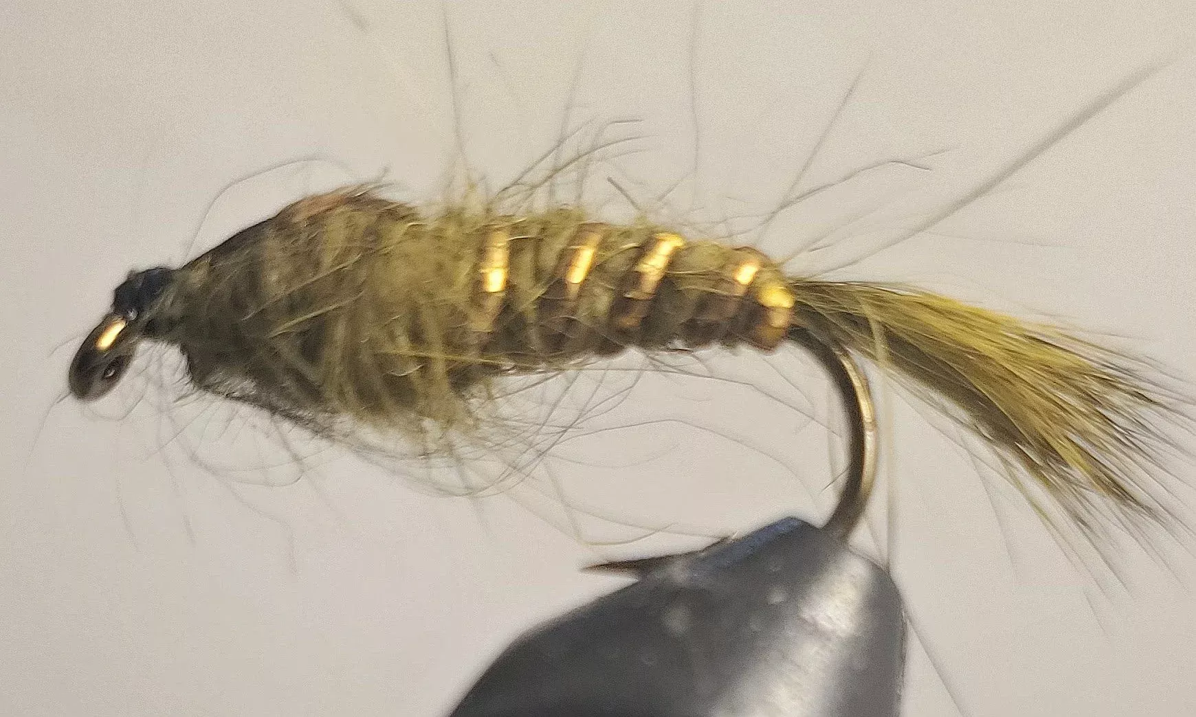 Hare's Ear - Olive
