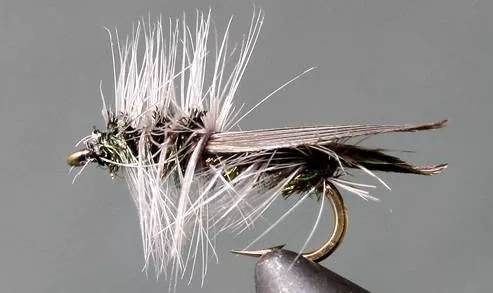 Hemingway Caddis