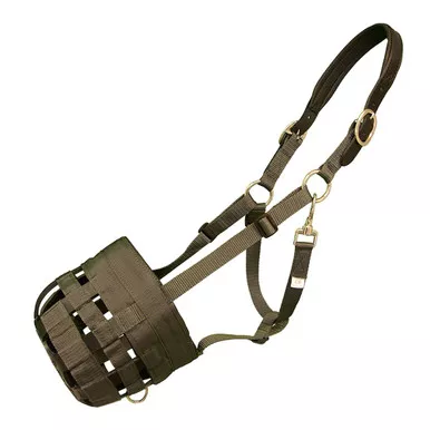 INTREPID INTERNATIONAL Best Friend Leather Crown Cob Grazing Muzzle (BF03L)