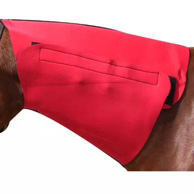 INTREPID INTERNATIONAL Yearling Red Neoprene Neck Sweat (113902)