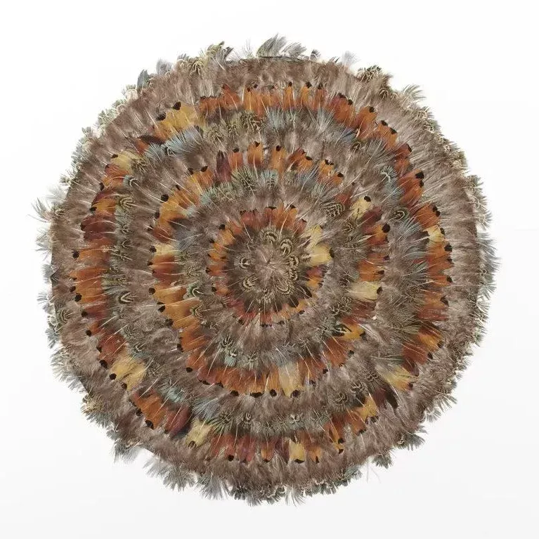 Iridescent Pheasant Feather Placemat