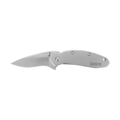 Kershaw 1620FL Scallion, Stainless Folding Knife Assisted SpeedSafe Drop Point 2.40" 420HC Plain Edge Blade, Stainless Steel Handle