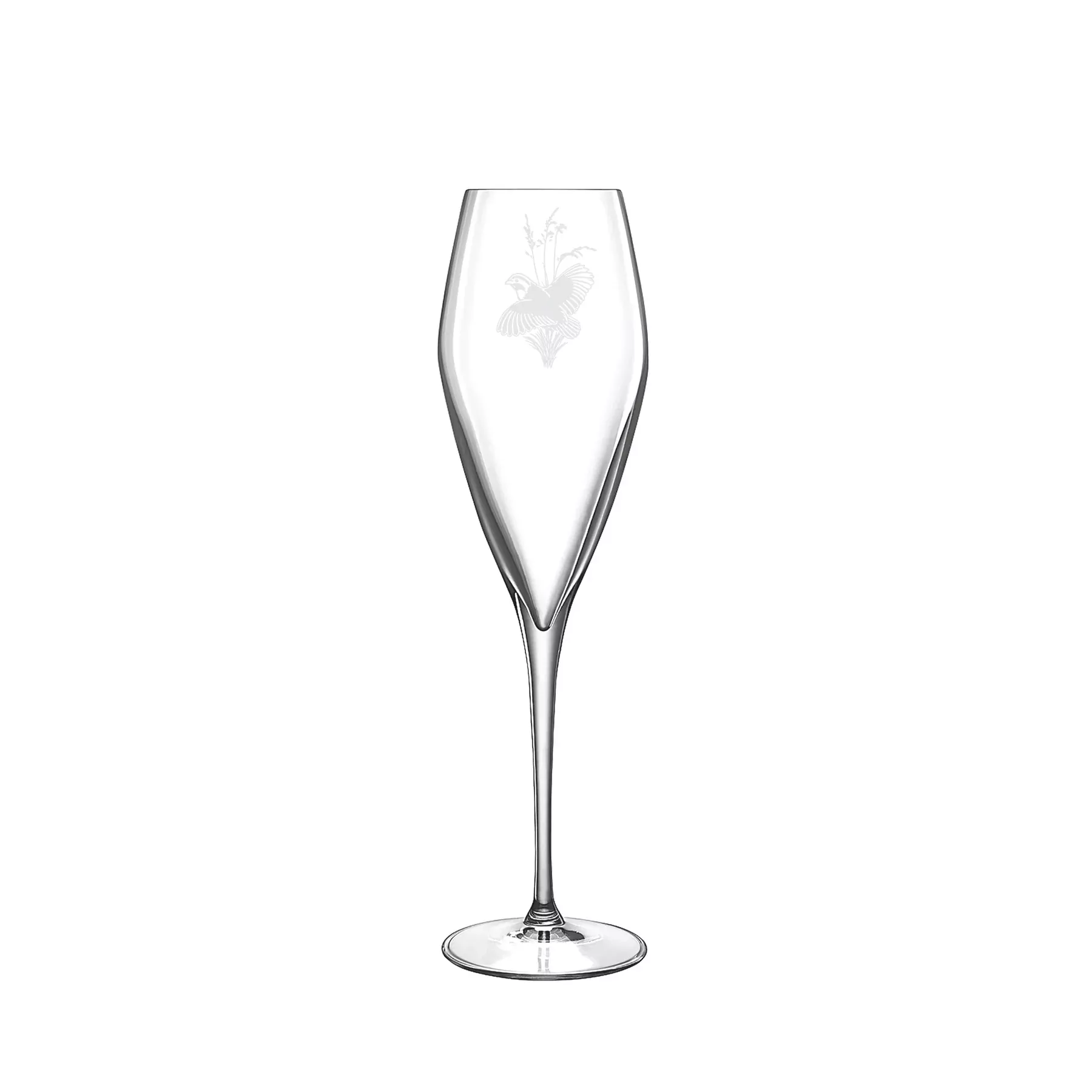 Kevin's Etched Crystal Champagne Glass