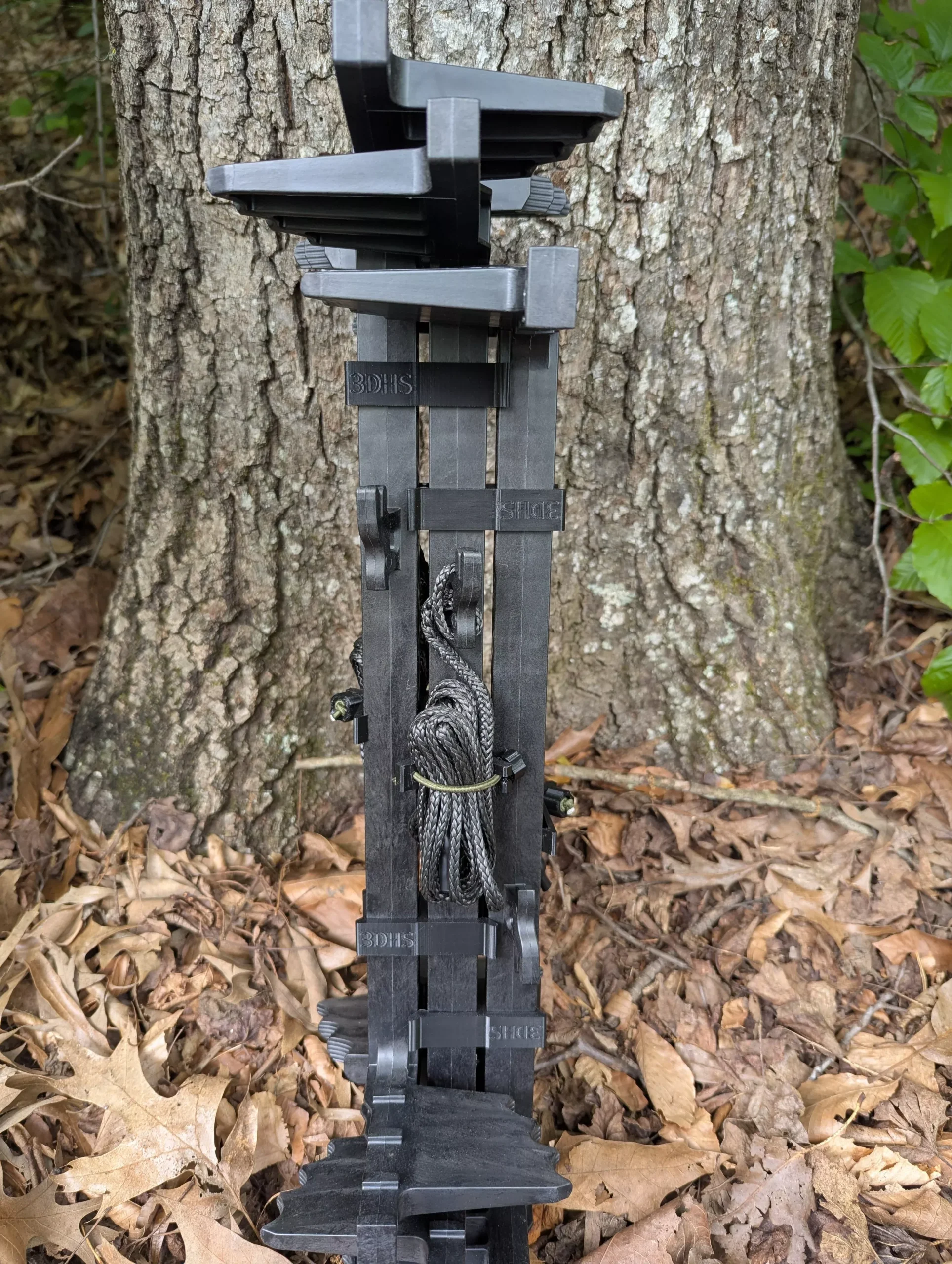 Latitude Carbon SS Stick Wranglers