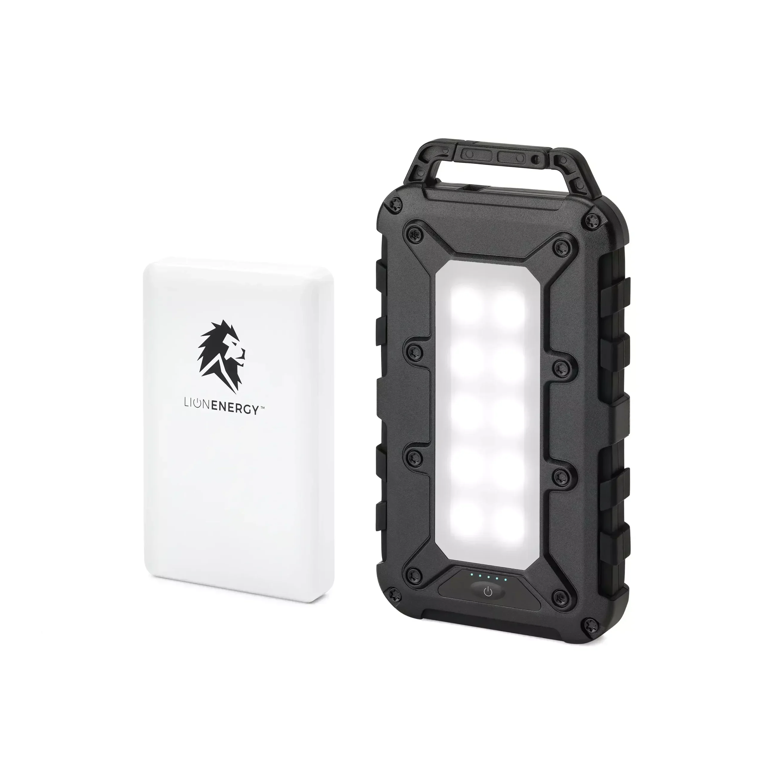 Lion Energy Power Bank Bundle