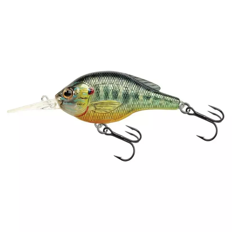 LIVETARGET Pumpkinseed Medium Dive Crankbait 2-3/4 – 1/2 oz”