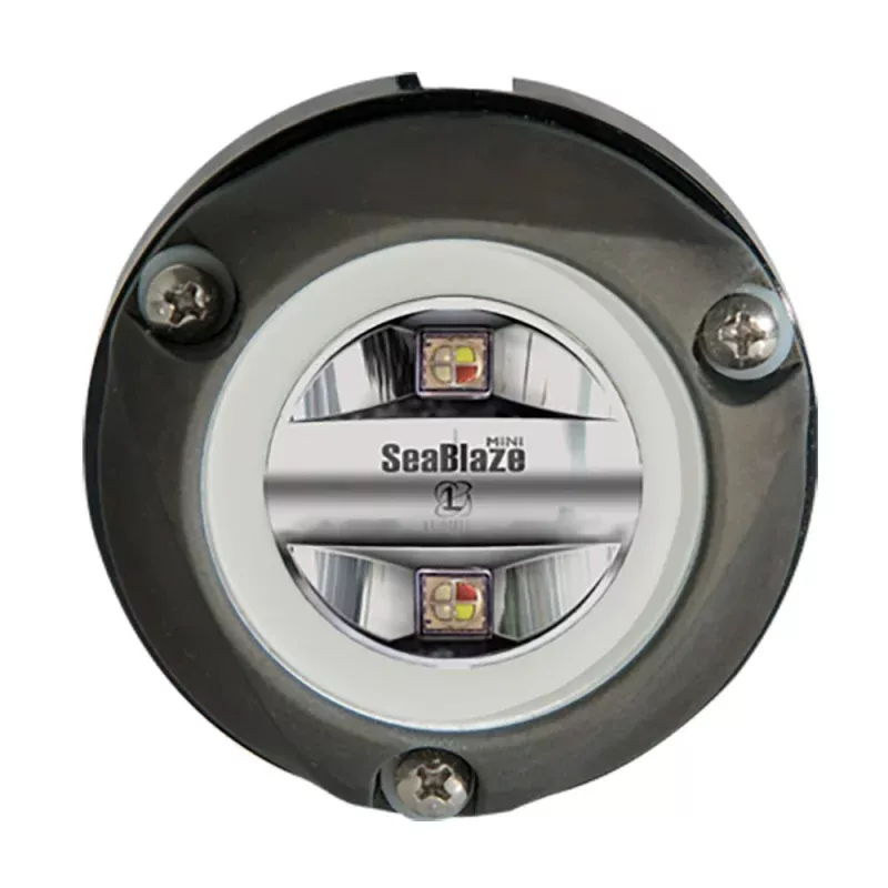 Lumitec Zambezi Mini Surface Mount Underwater Light – Spectrum RGBW – PLI Enabled