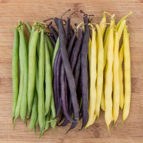 Mardi Gras Bean Blend