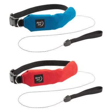 Nite Ize RadDog™ All-In-One Collar + Leash