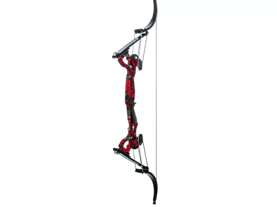 Oneida Eagle Osprey