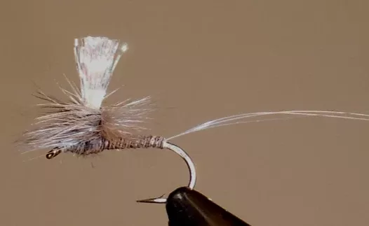 Parachute Crystal Drake – Grey