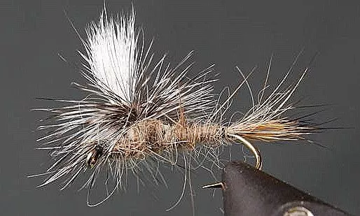 Parachute Hare’s Ear – 3 Colors