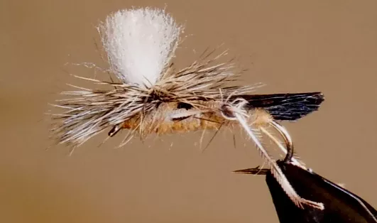 Parachute Hopper