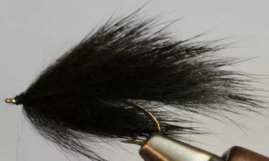 Pine Squirrel Leech - 4 Colors