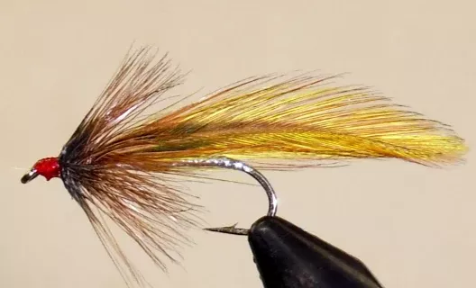 Platte River Special