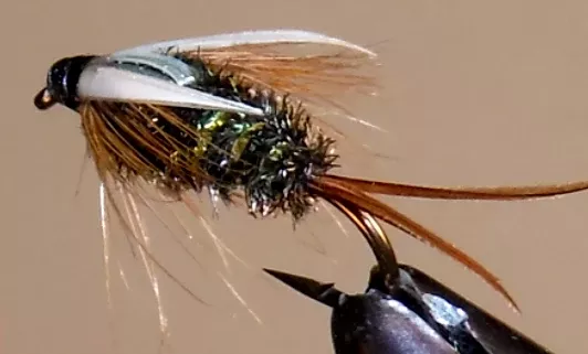 Prince Nymph