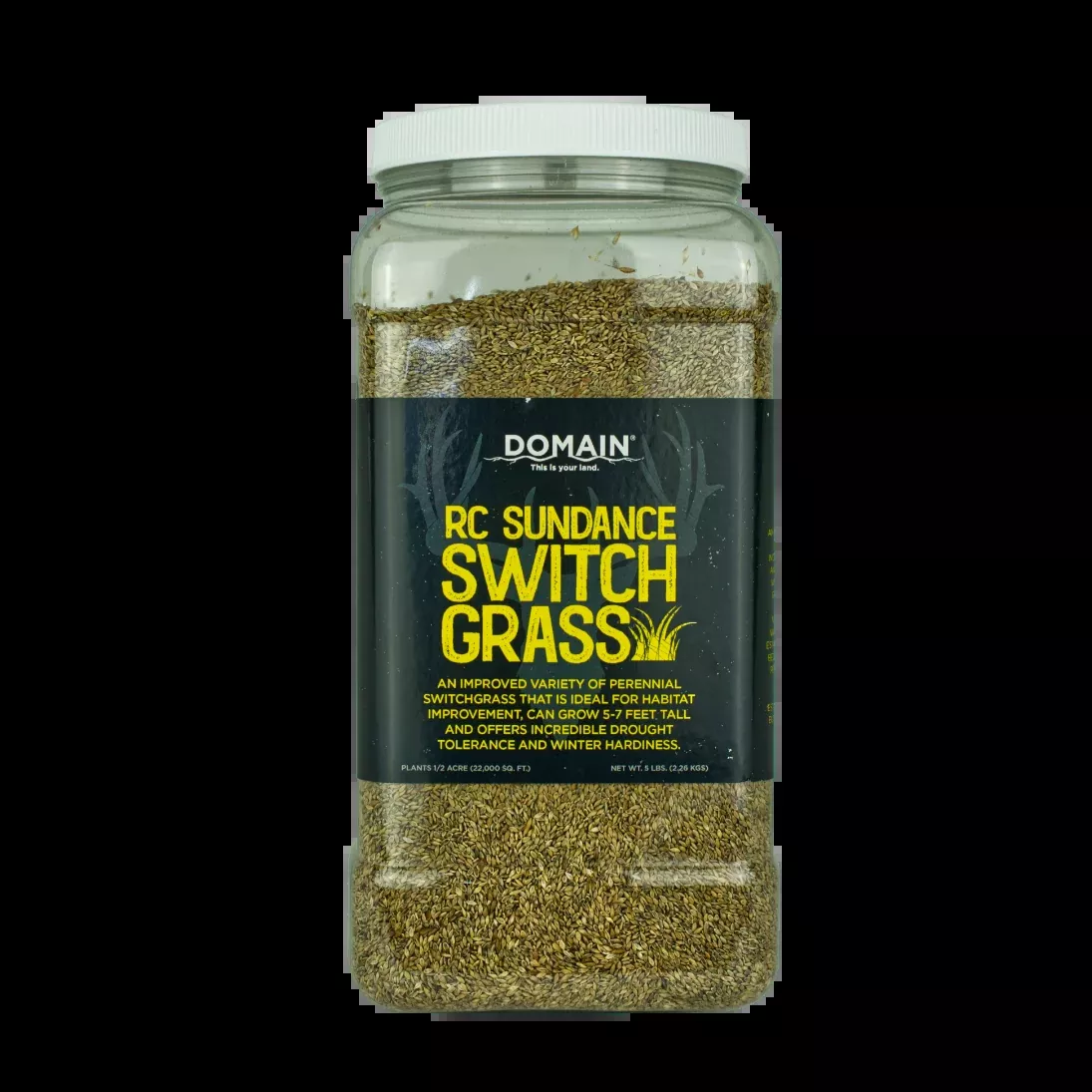 RC Sundance Switchgrass