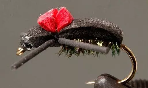 Red Top – Black Foam Beetle
