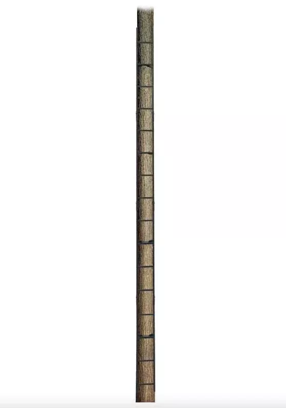 Rhino Tree Stands 20' Mini Ladder Climbing Stick• RTML-200