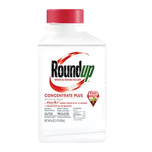 Roundup Weed & Grass Killer Concentrate – 1 Pint #MS5003610