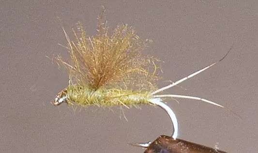 RS2 Emergers - Olive or Tan