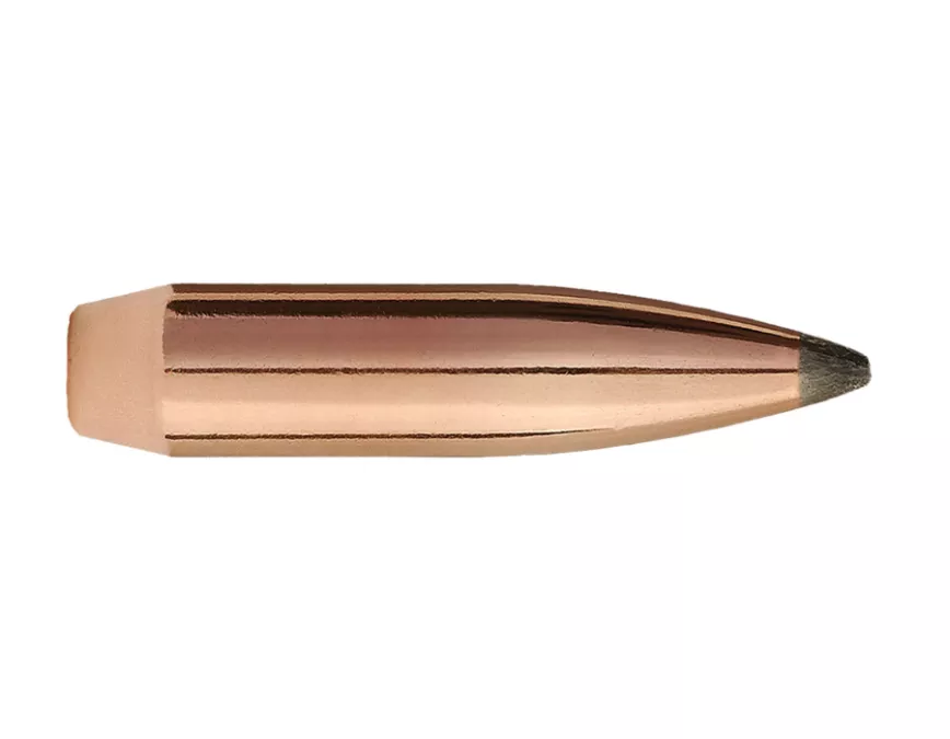 Sierra GameKing 270Win, 100