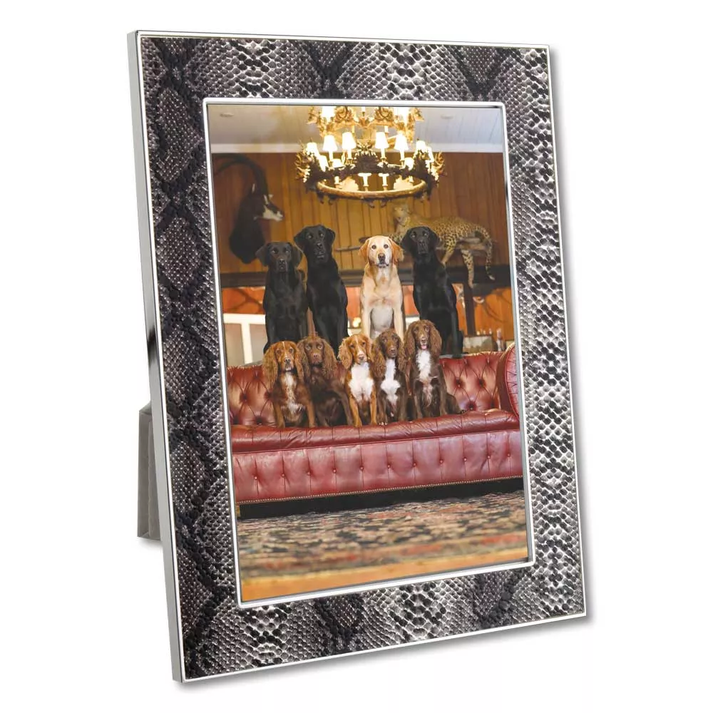 Snakeskin Frame