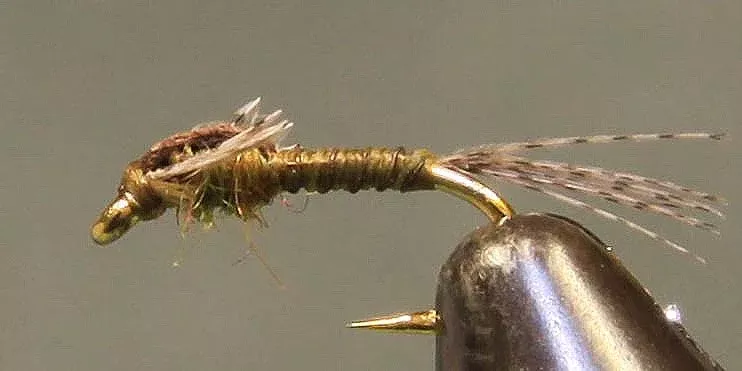 Split Foam Back™ – Blue Wing Olive