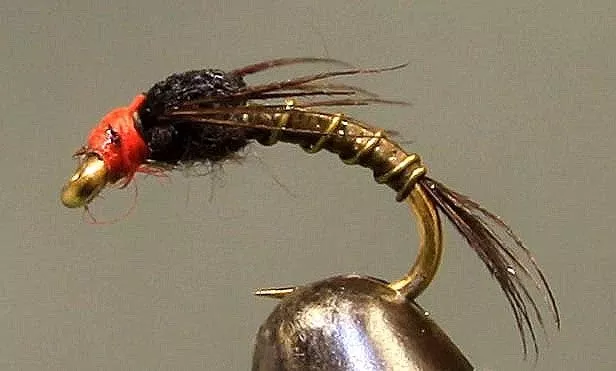 Split Foam Back™ – Orange Head Baetis